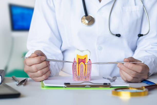 Best Emergency Tooth Extraction  in St Anne, IL